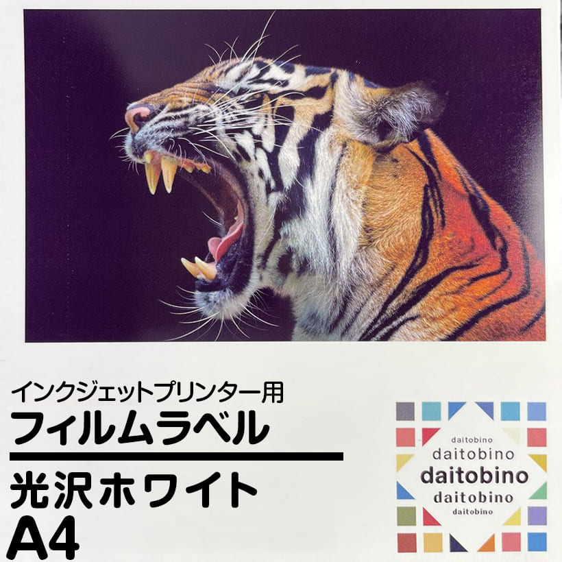 tB x daitobino IJp zCg A4 50 BINOINA4GW