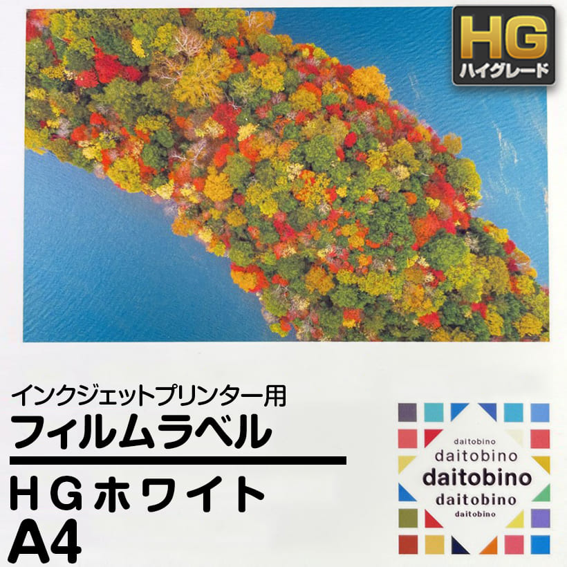 tB x daitobino IJp HG zCg A4 50 BINOIHA4W