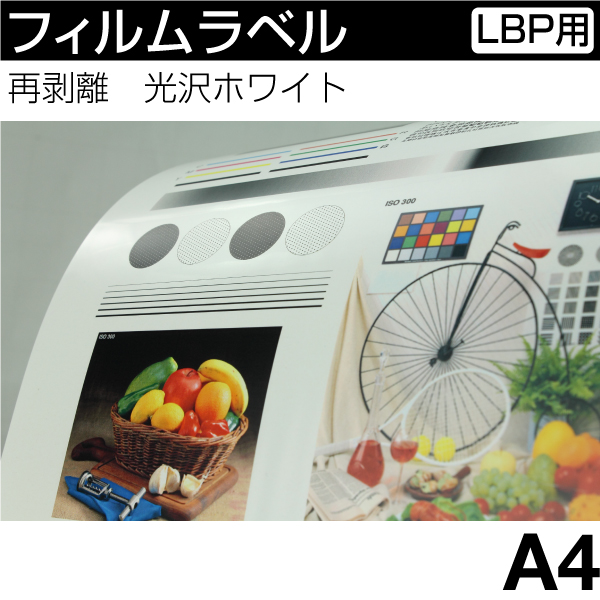 tBx [[U[v^p] Ĕ@zCgyA4z(50)