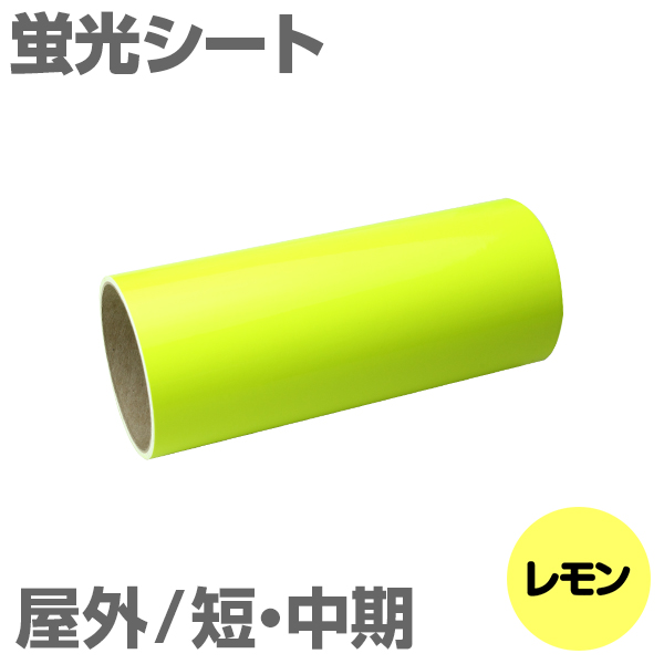 200mm�~2m [������] ���O�Z�E���� �u���V�[�g