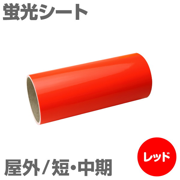 200mm�~2m [���b�h] ���O�Z�E���� �u���V�[�g